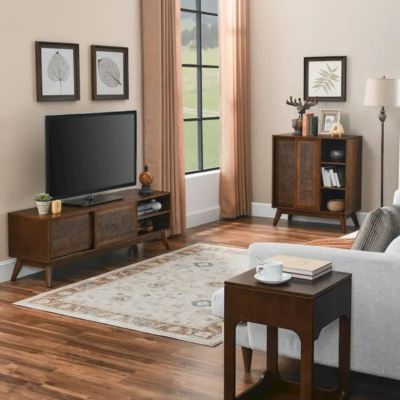 Credenza in rattan moderna di metà secolo, con ripiano regolabile, piedini in legno massello e ante in rattan